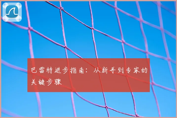 巴雷特进步指南：从新手到专家的关键步骤