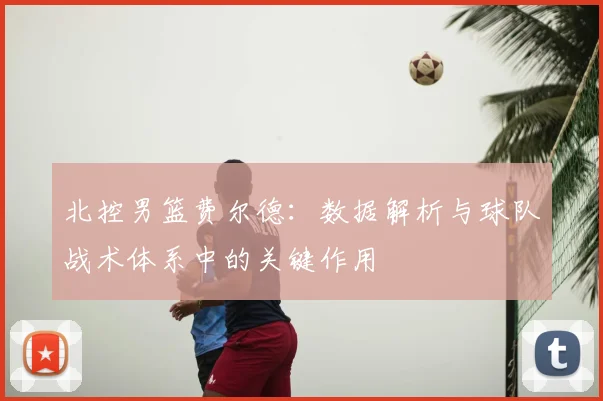 北控男篮费尔德:数据解析与球队战术体系中的关键作用