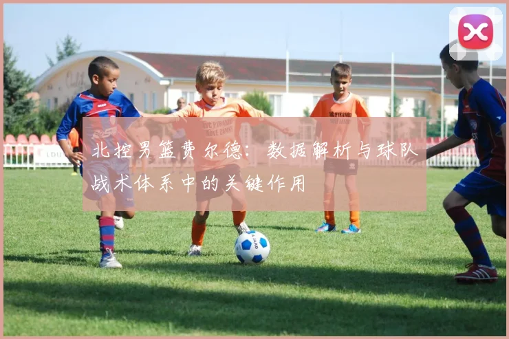 北控男篮费尔德：数据解析与球队战术体系中的关键作用