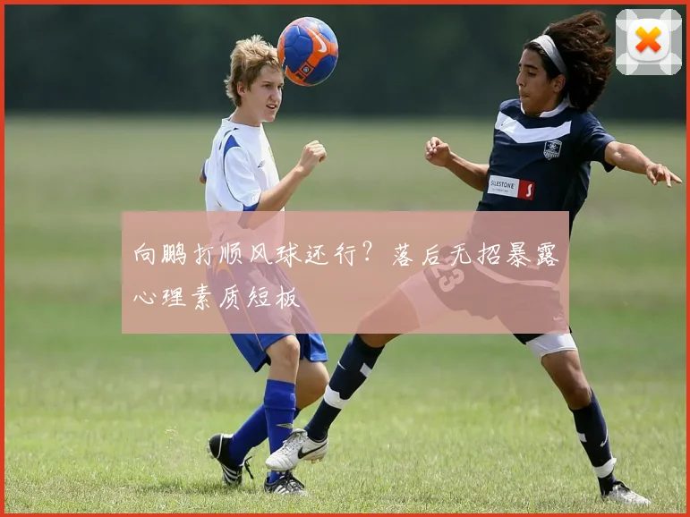 向鹏打顺风球还行？落后无招暴露心理素质短板